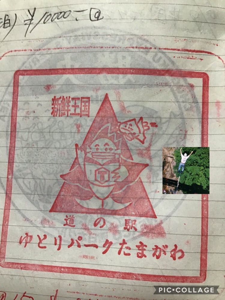 投稿された画像