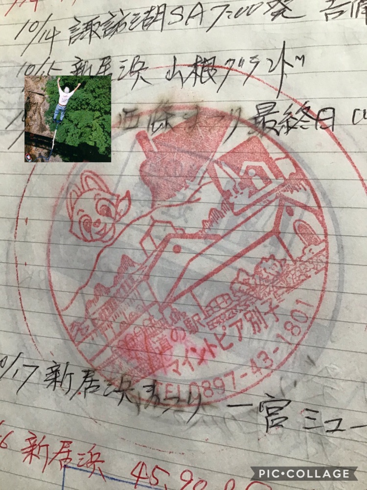 投稿された画像