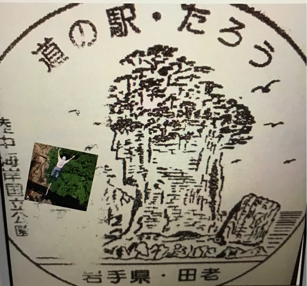 投稿された画像