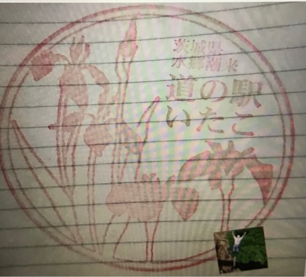 投稿された画像