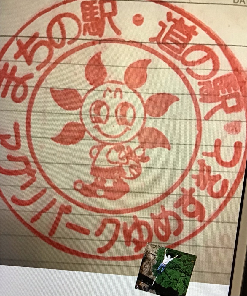 投稿された画像