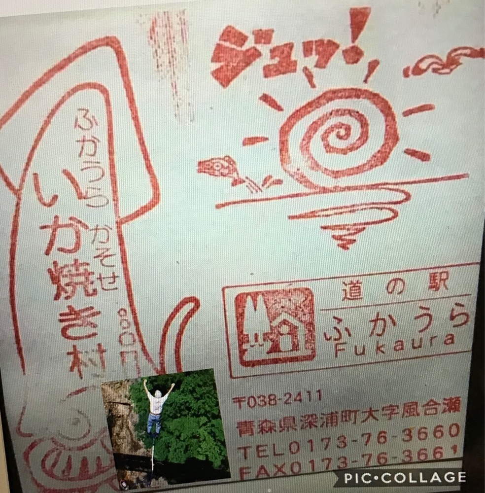 投稿された画像