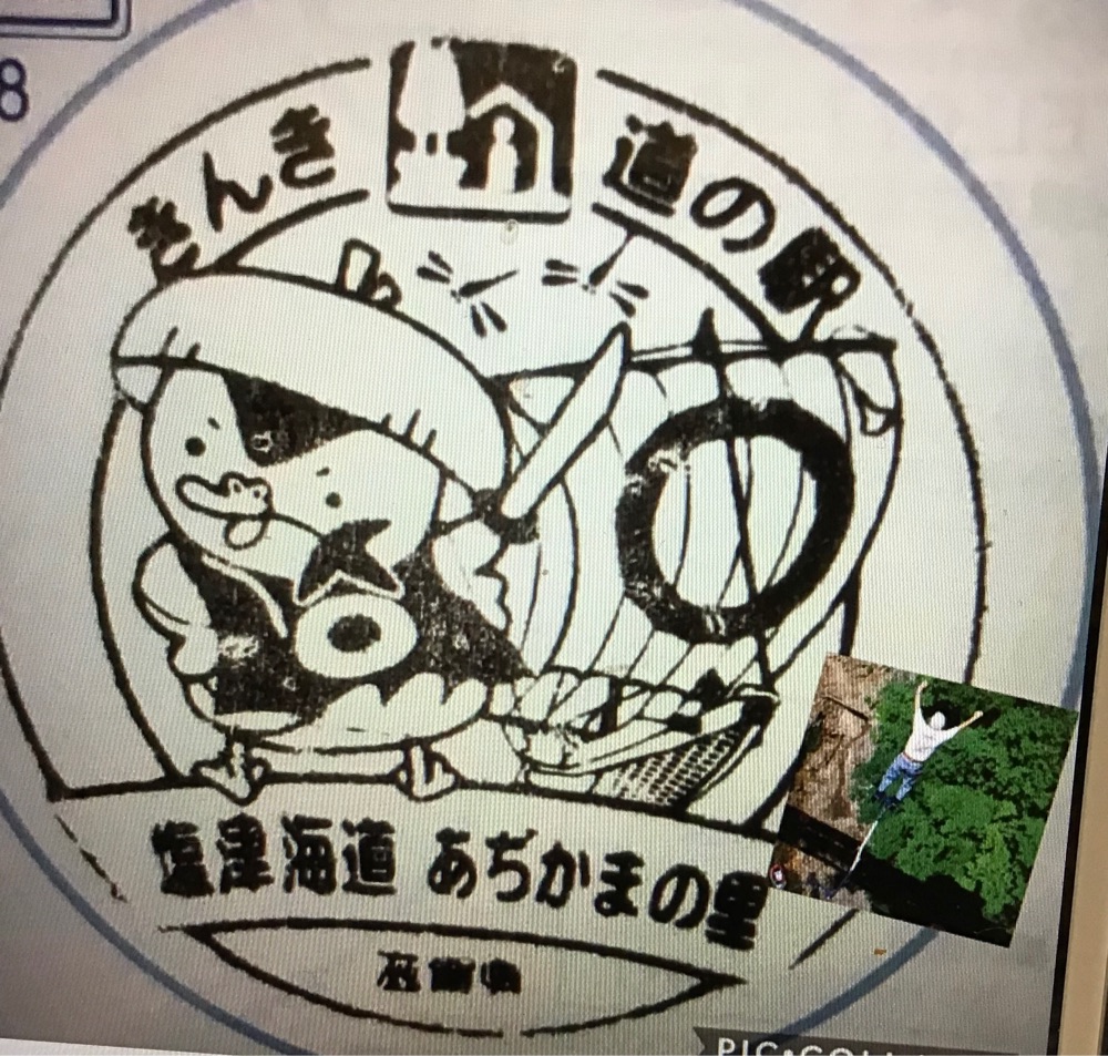 投稿された画像