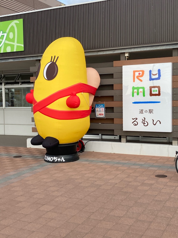 投稿された画像