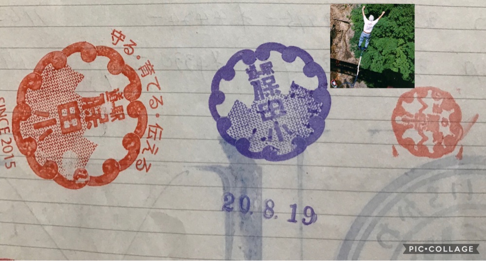 投稿された画像