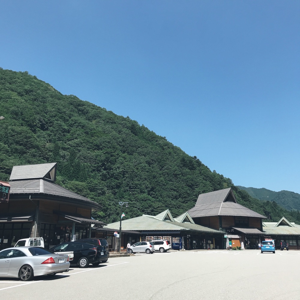 投稿された画像