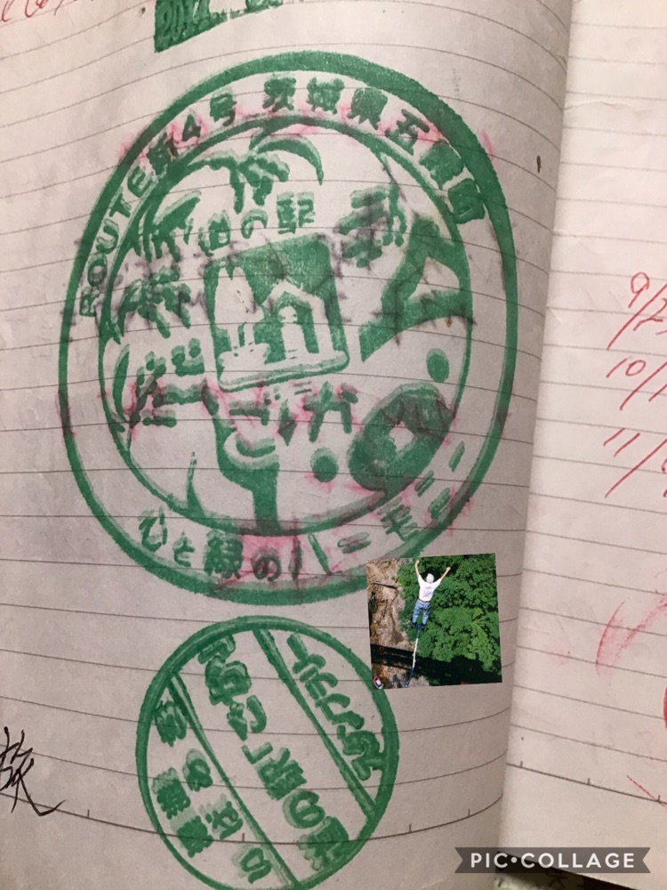 投稿された画像