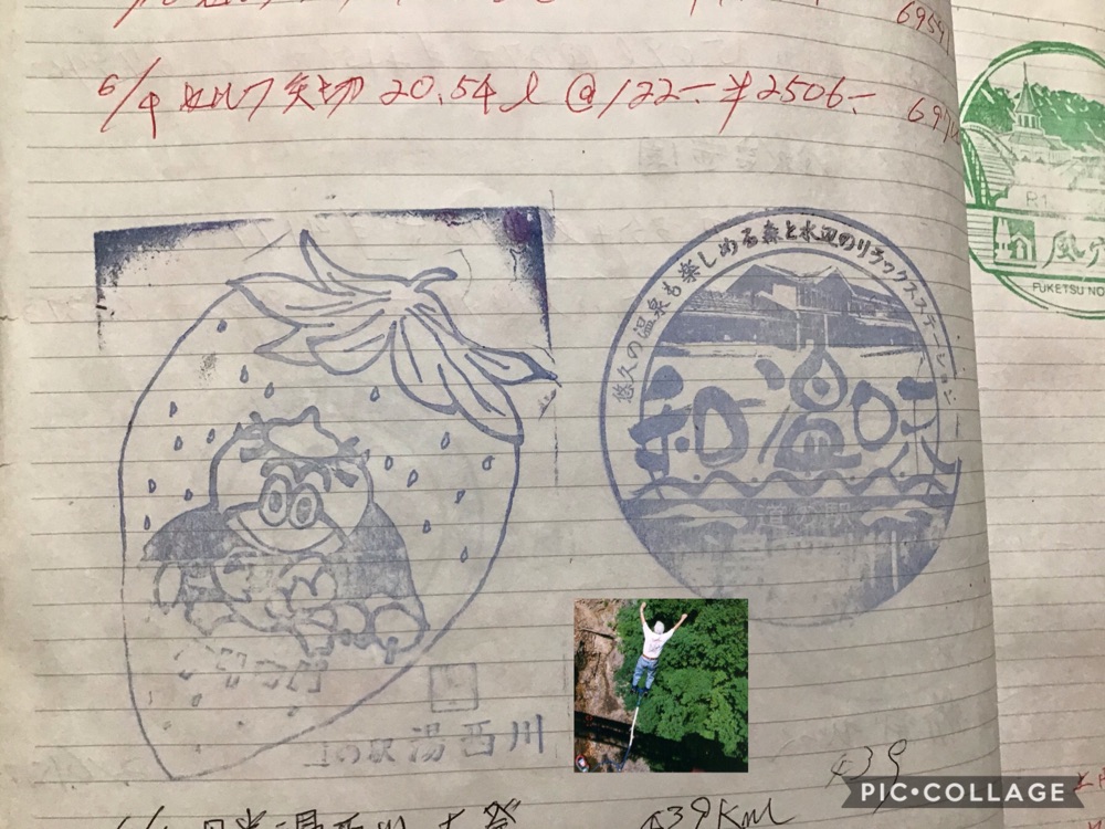 投稿された画像