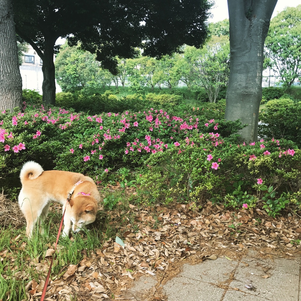 投稿された画像