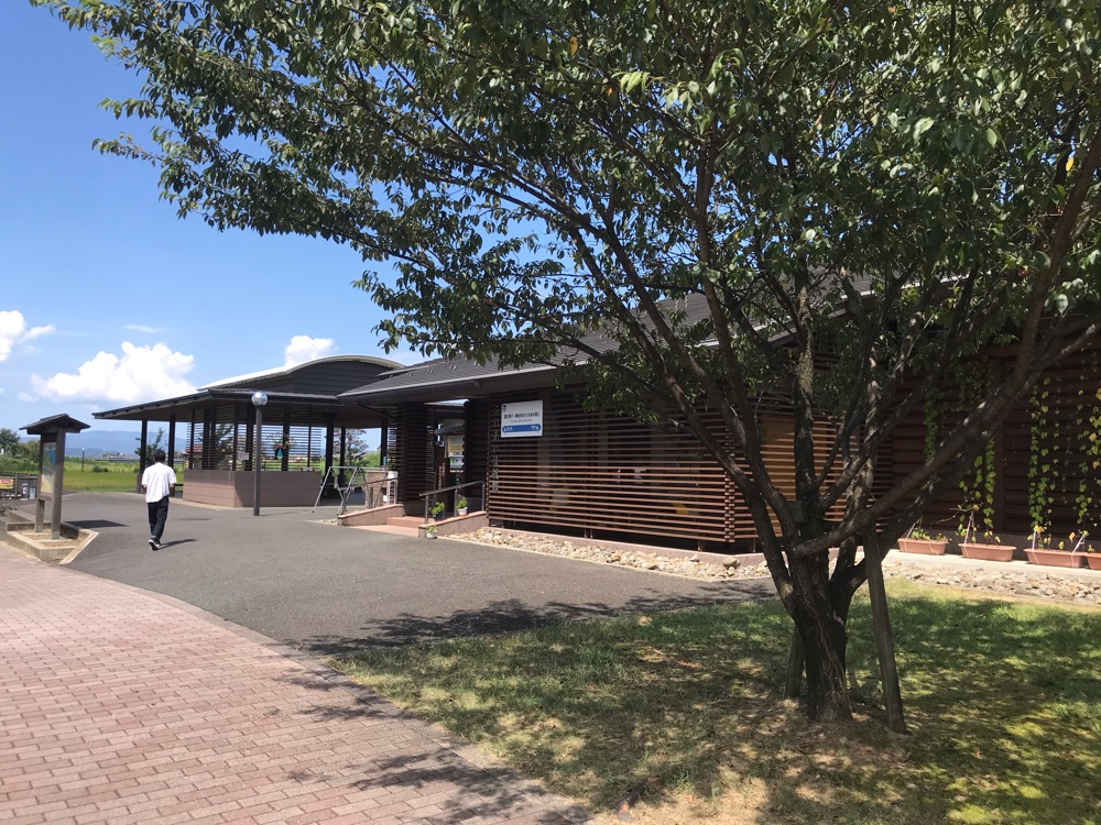 投稿された画像