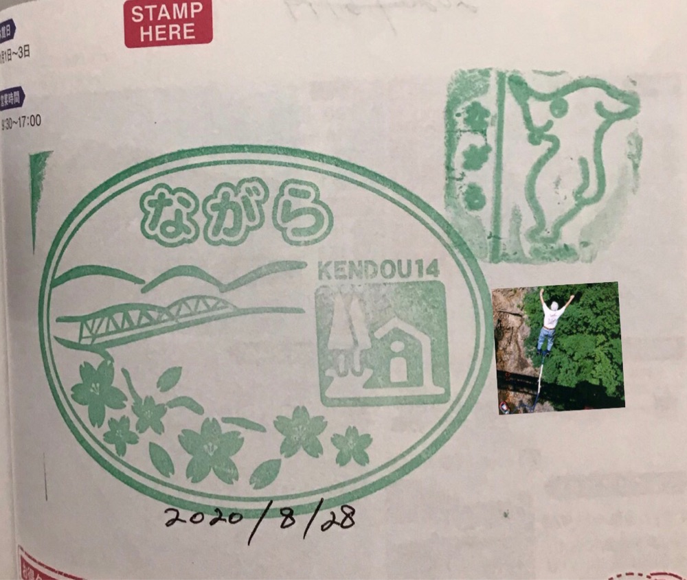 投稿された画像