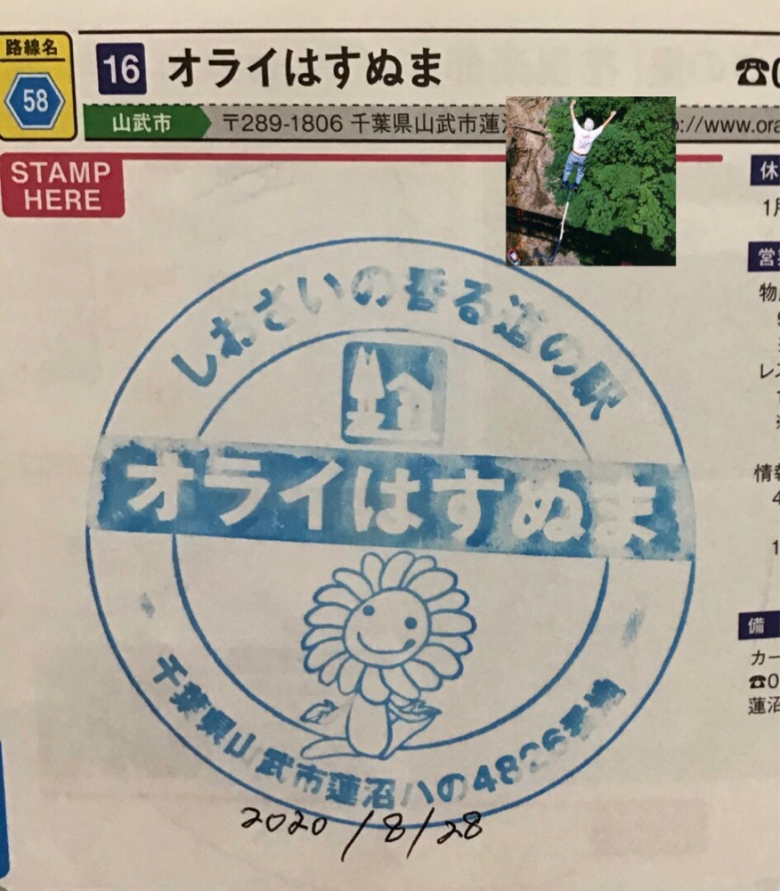 投稿された画像
