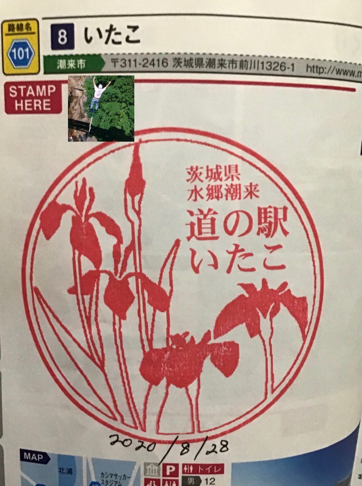 投稿された画像