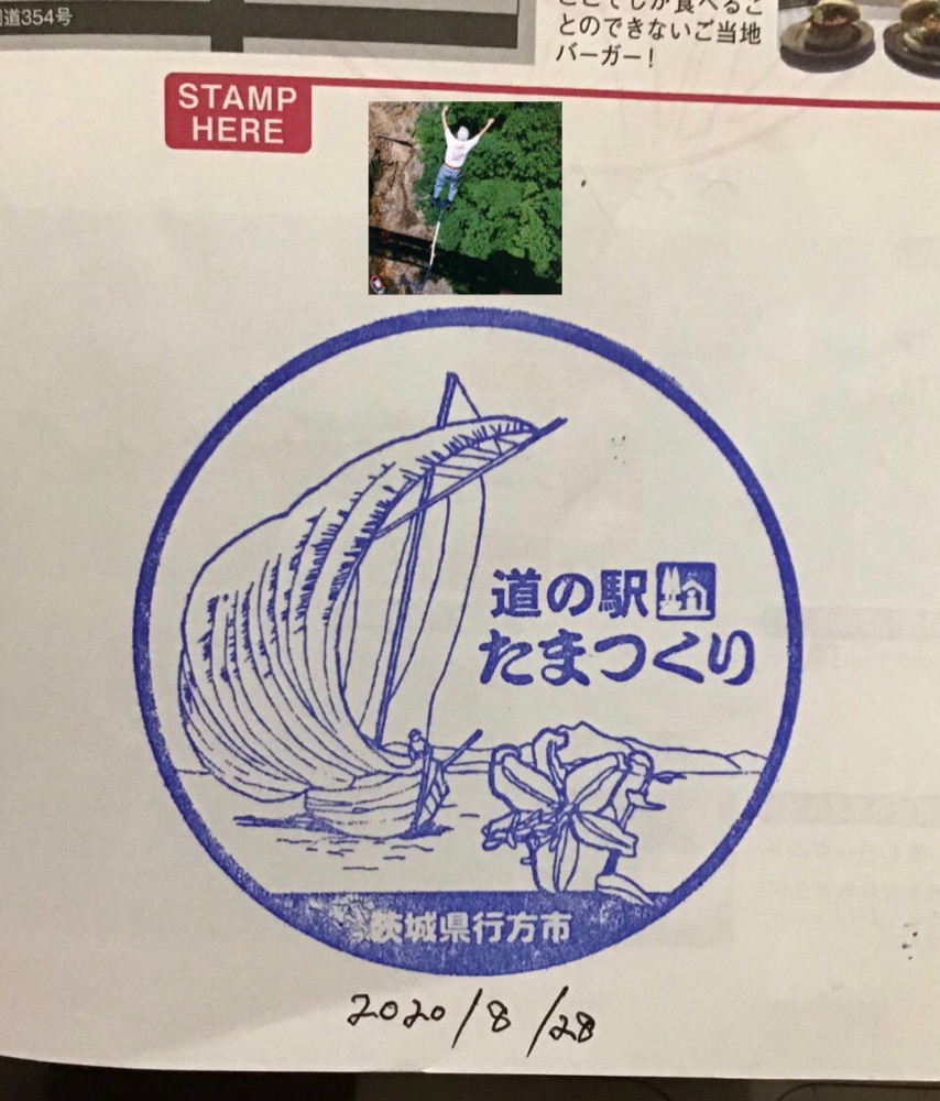 投稿された画像