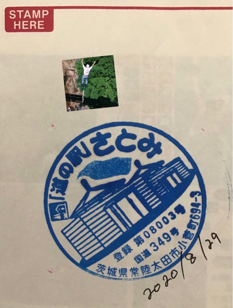 投稿された画像