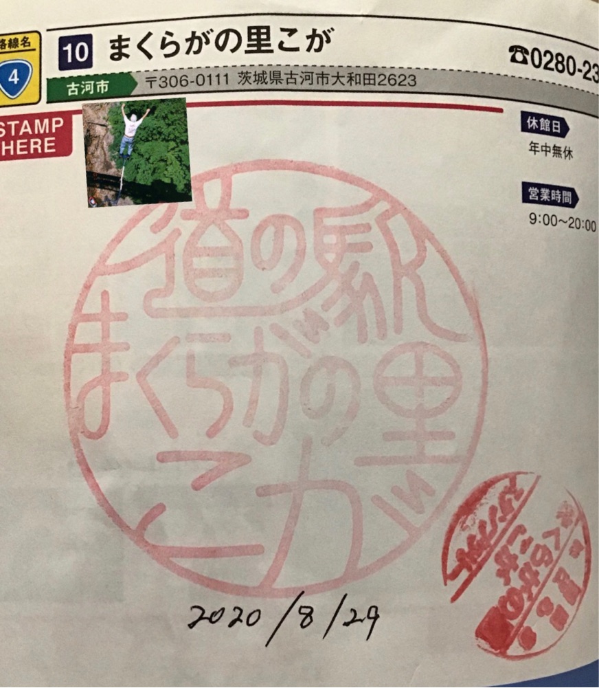 投稿された画像