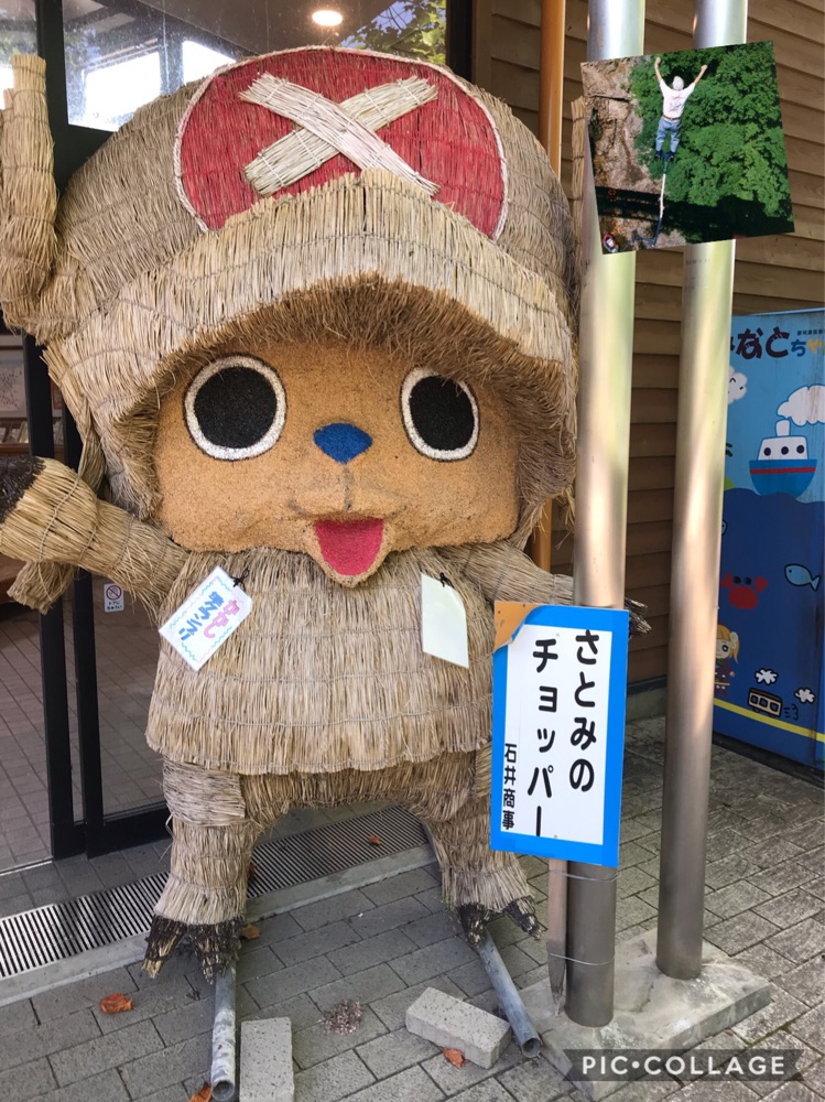 投稿された画像