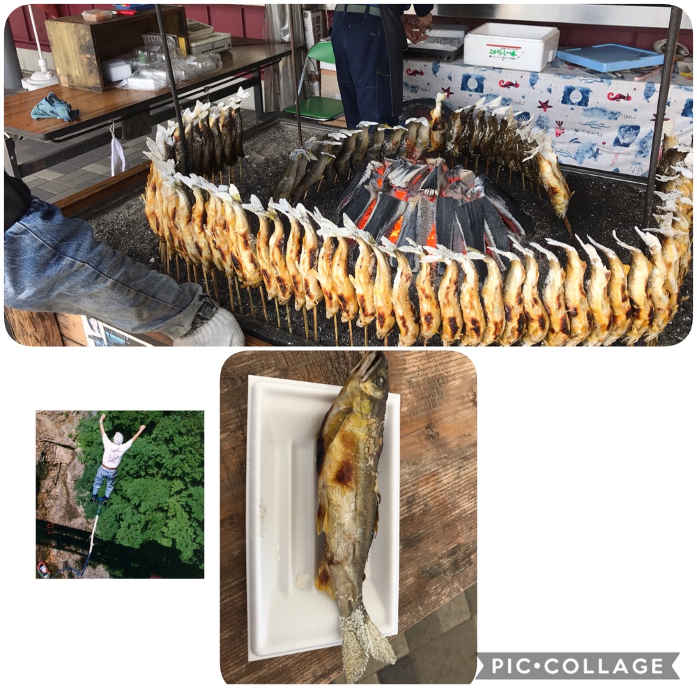 投稿された画像