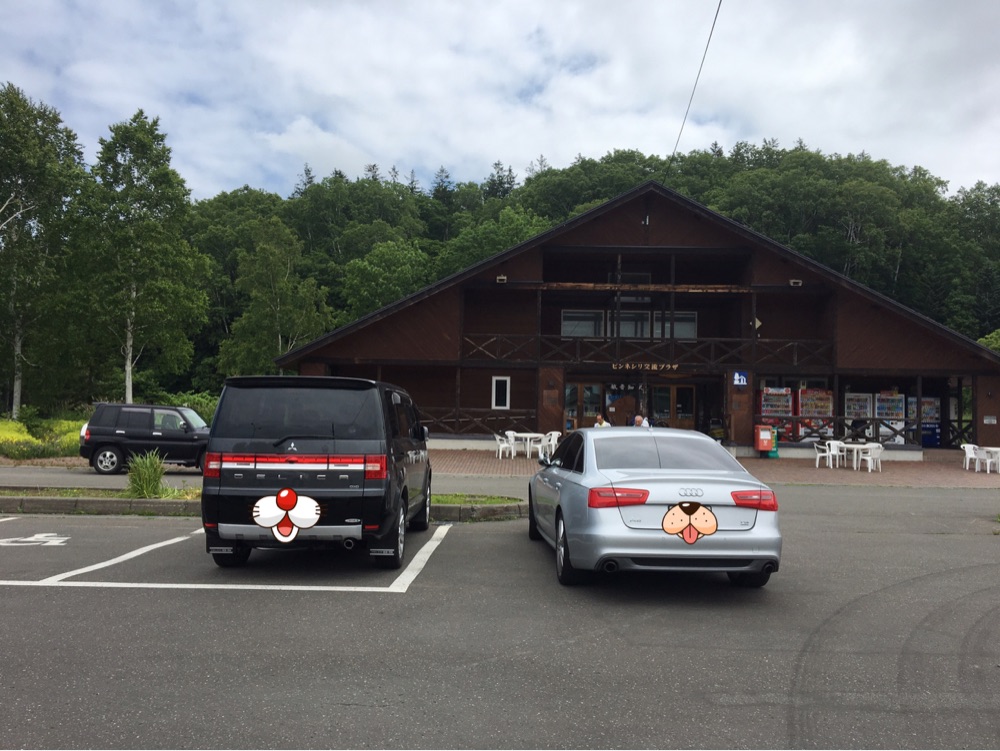 投稿された画像