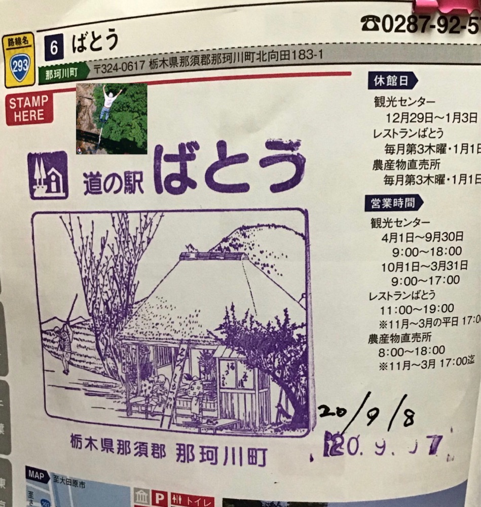 投稿された画像