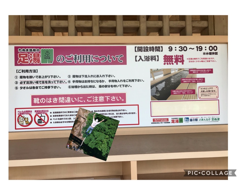 投稿された画像