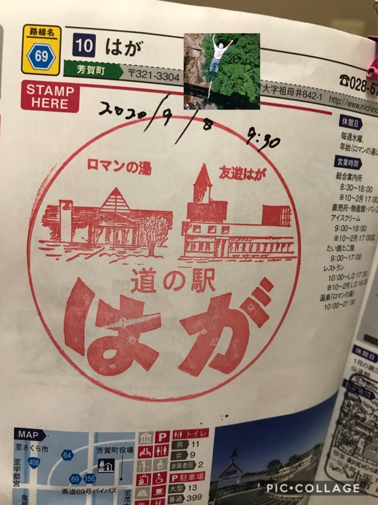 投稿された画像