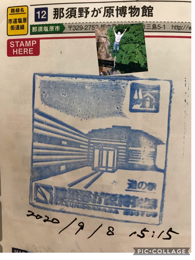 投稿された画像