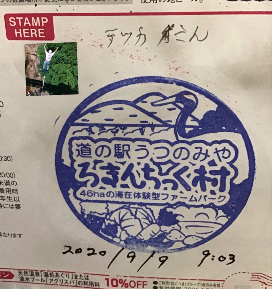 投稿された画像