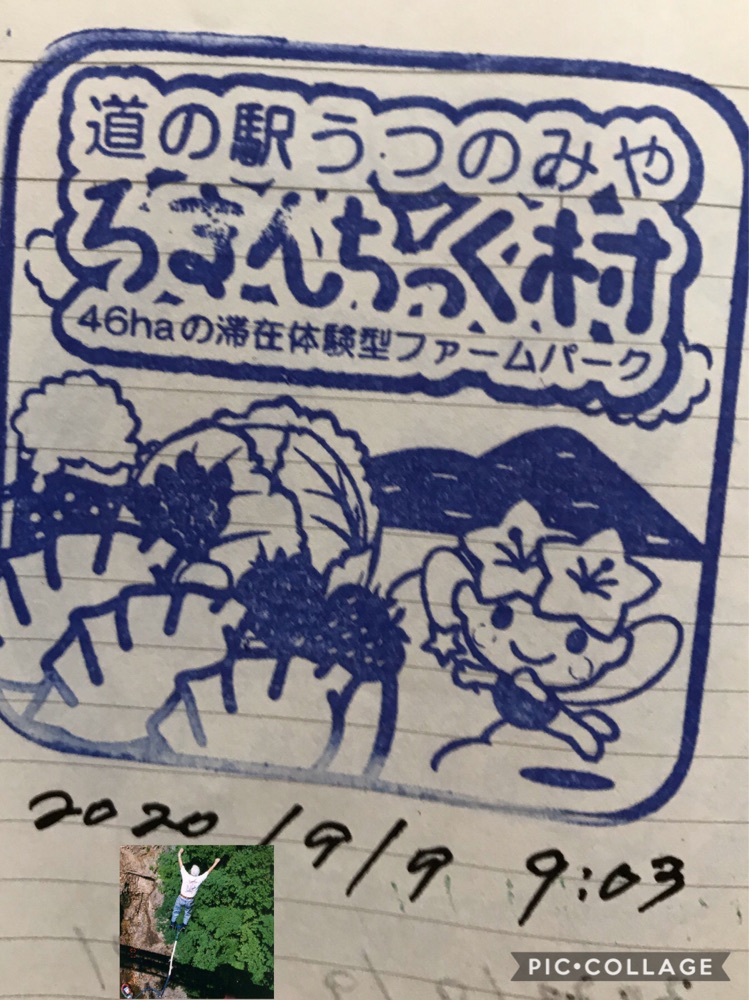 投稿された画像