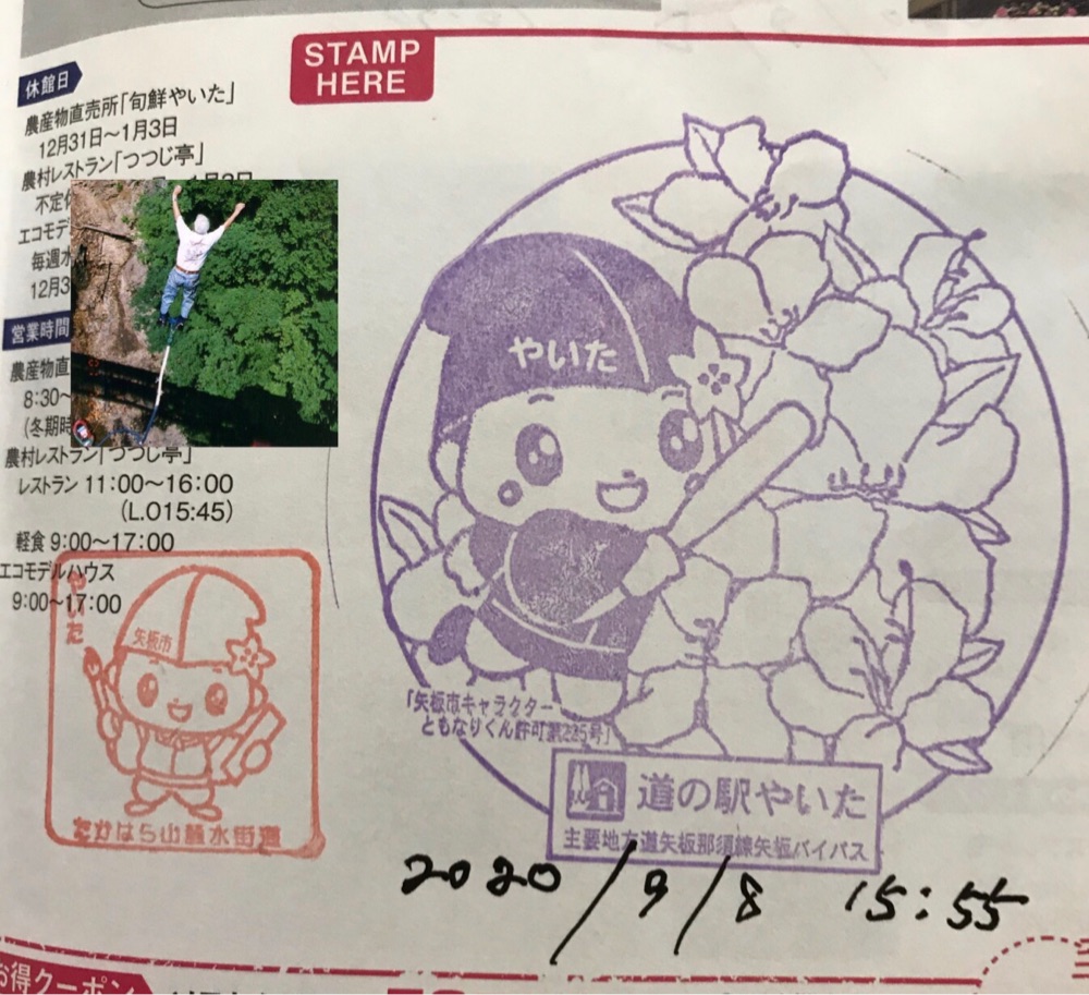 投稿された画像