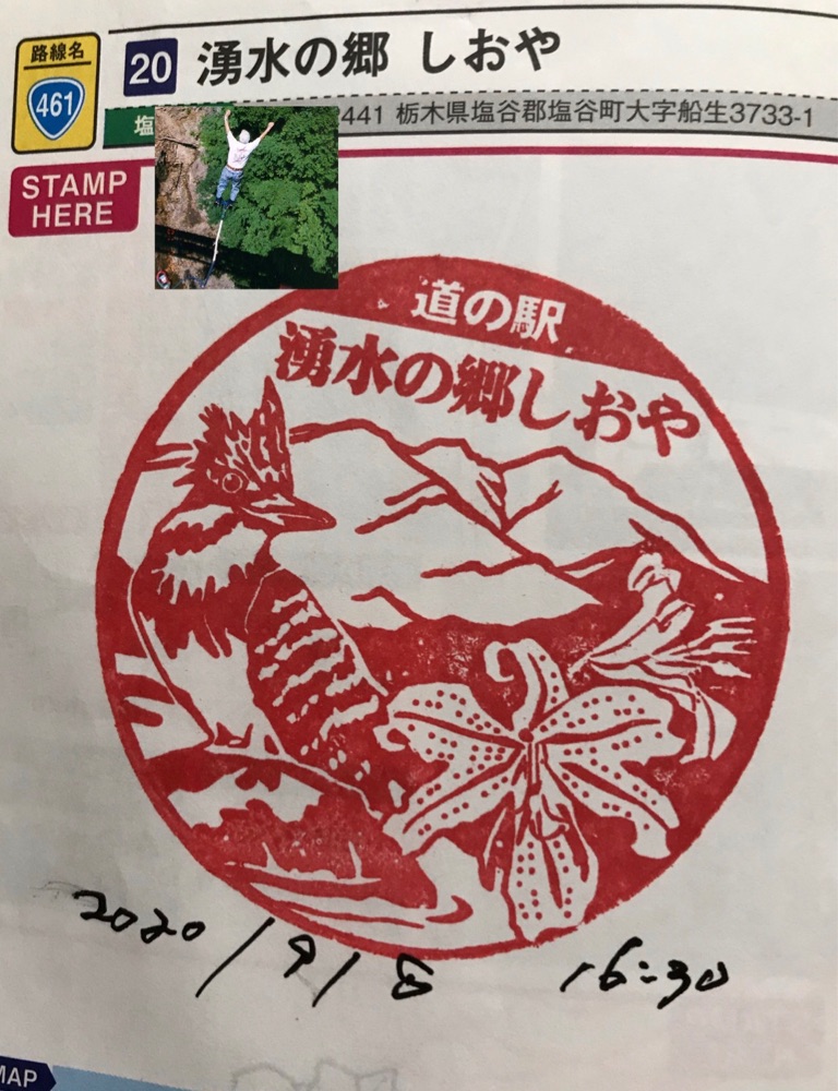 投稿された画像