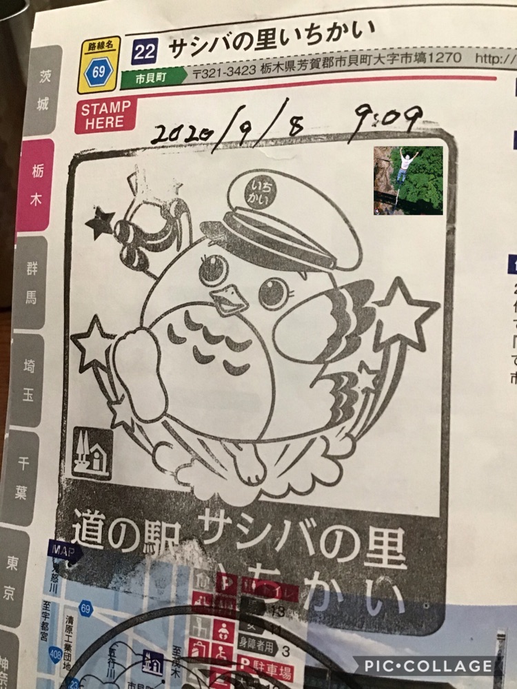 投稿された画像