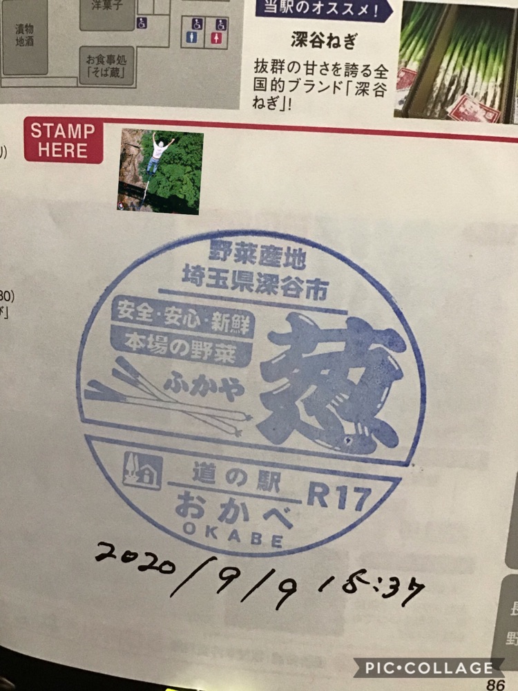 投稿された画像