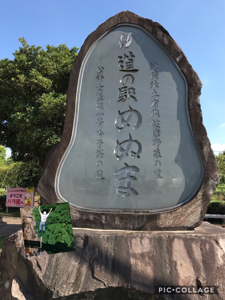 投稿された画像