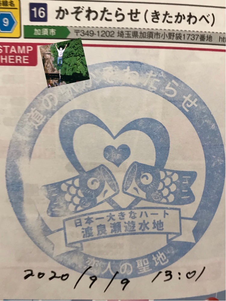 投稿された画像