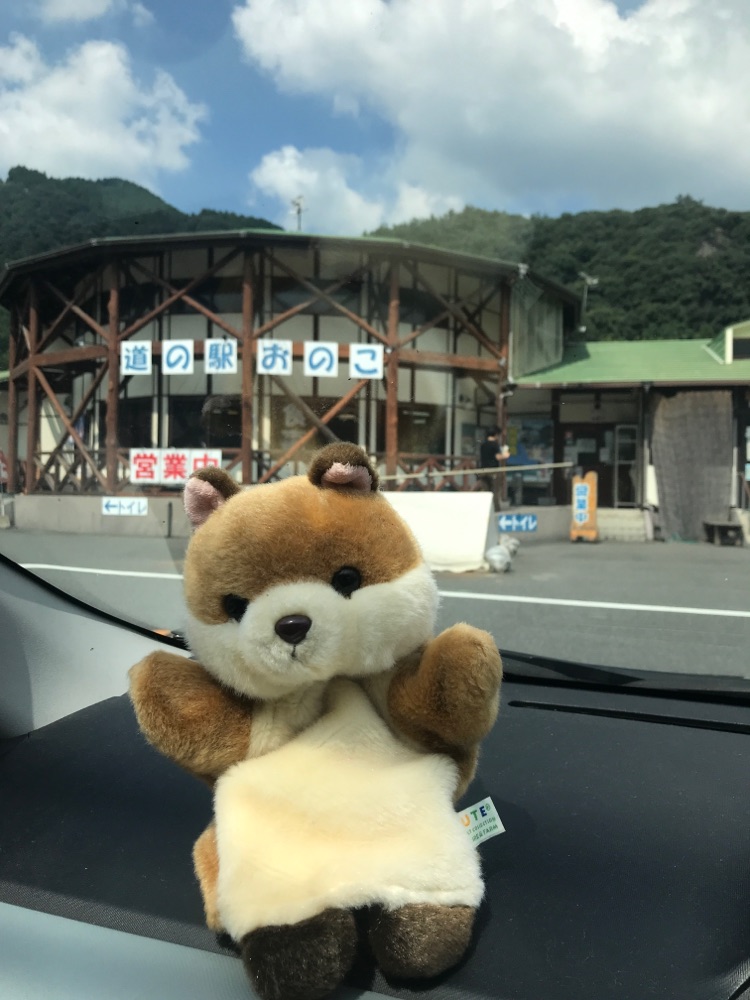 投稿された画像