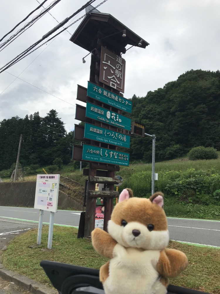 投稿された画像