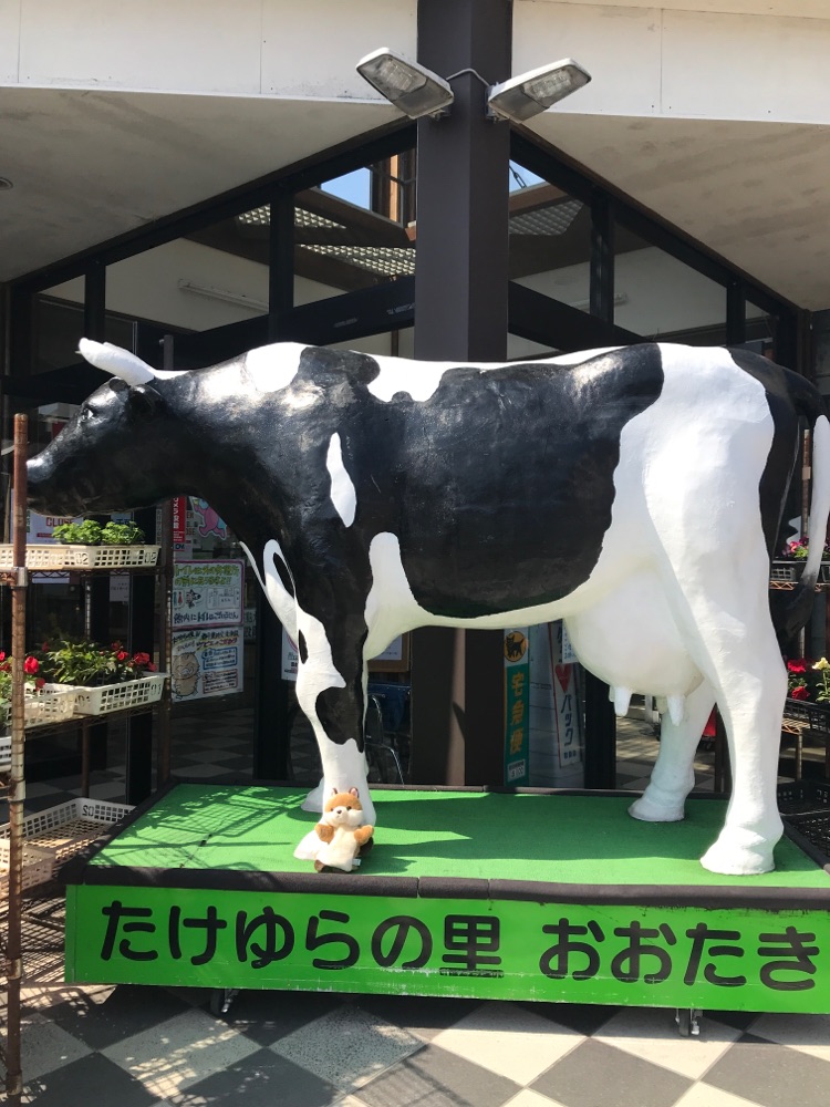 投稿された画像