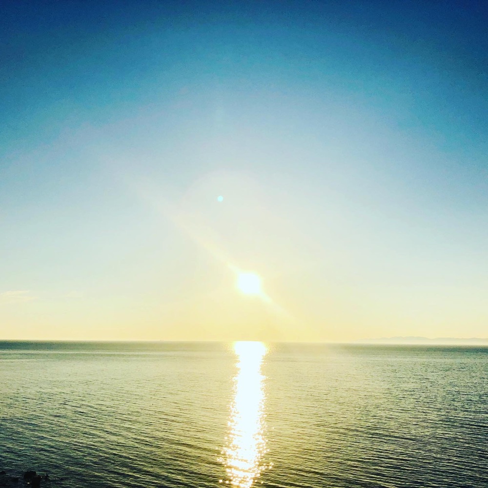 投稿された画像