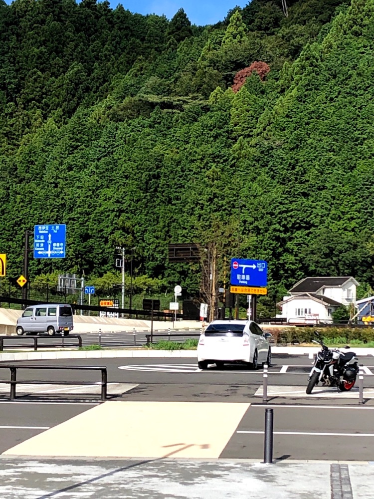 投稿された画像
