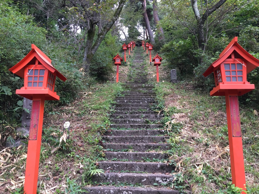 投稿された画像