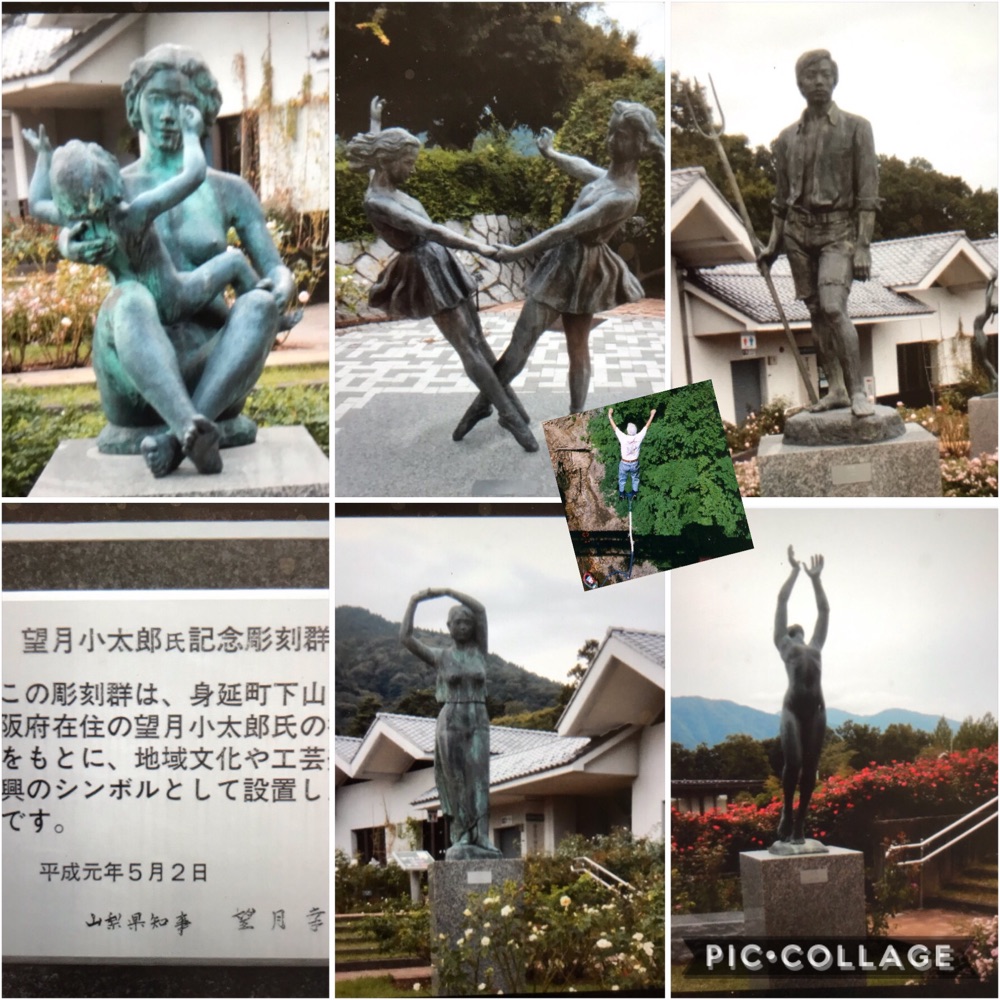 投稿された画像