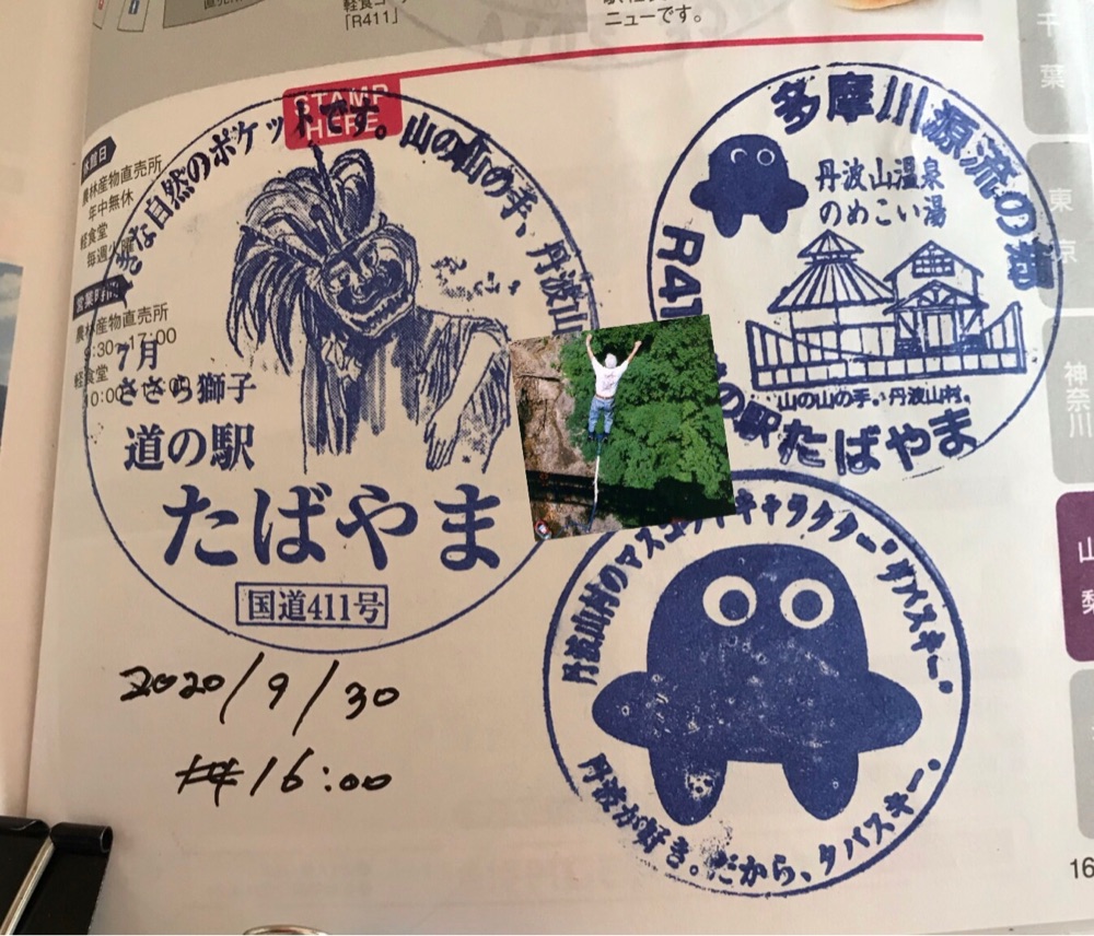 投稿された画像