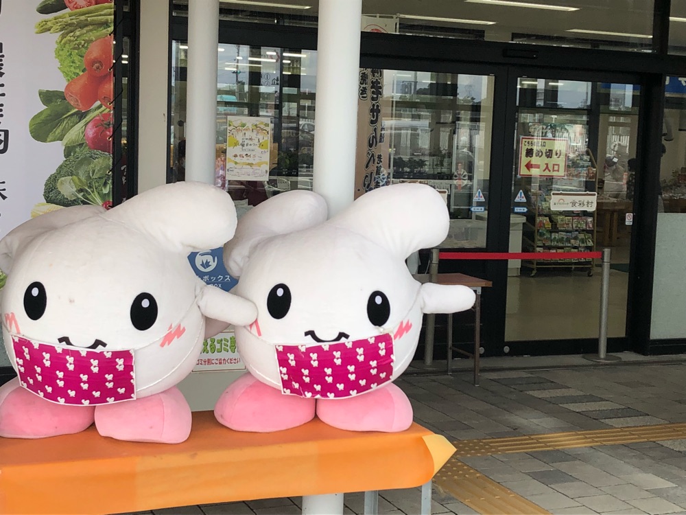 投稿された画像