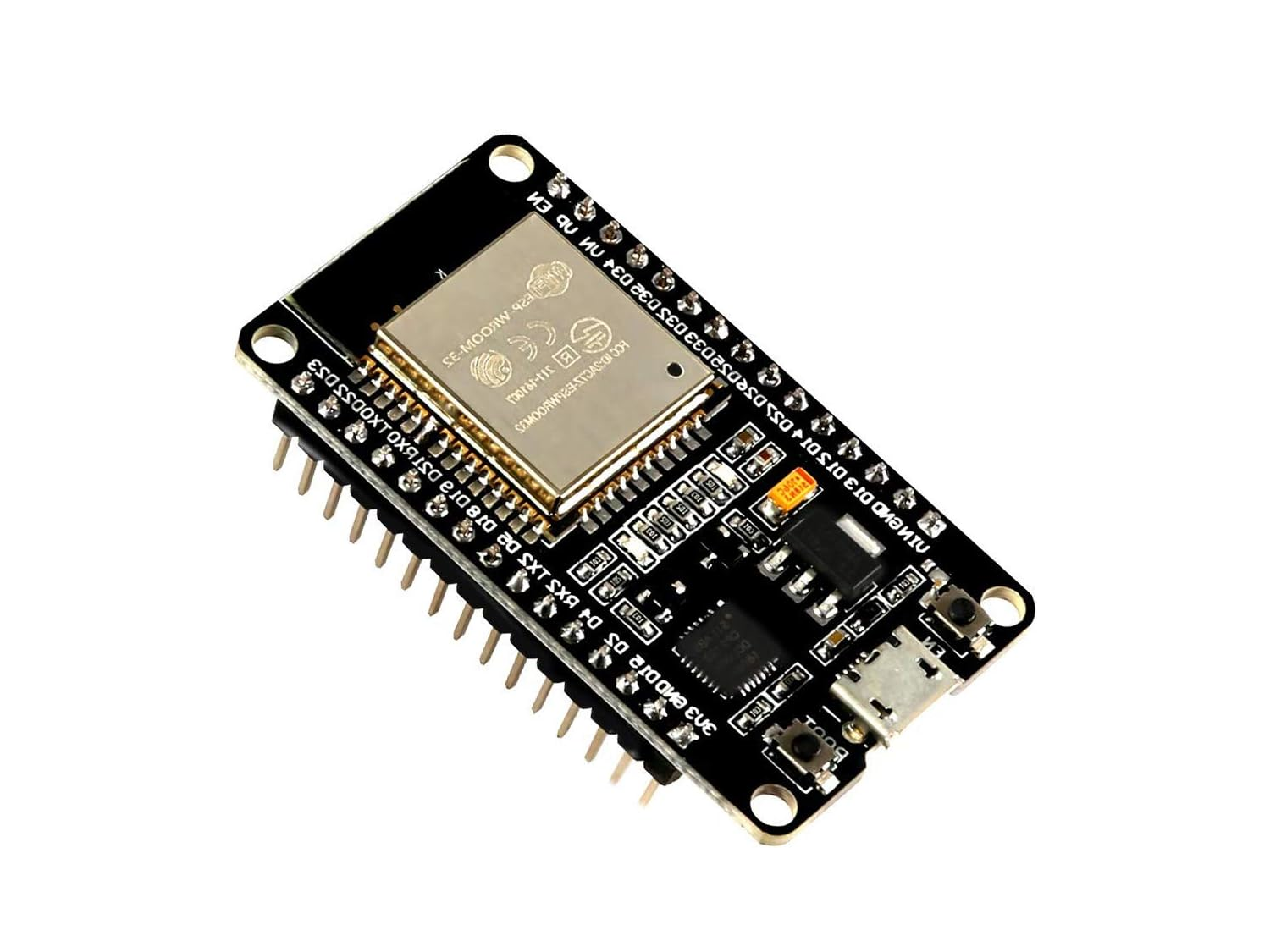 ESP32 DevKit V1 development board