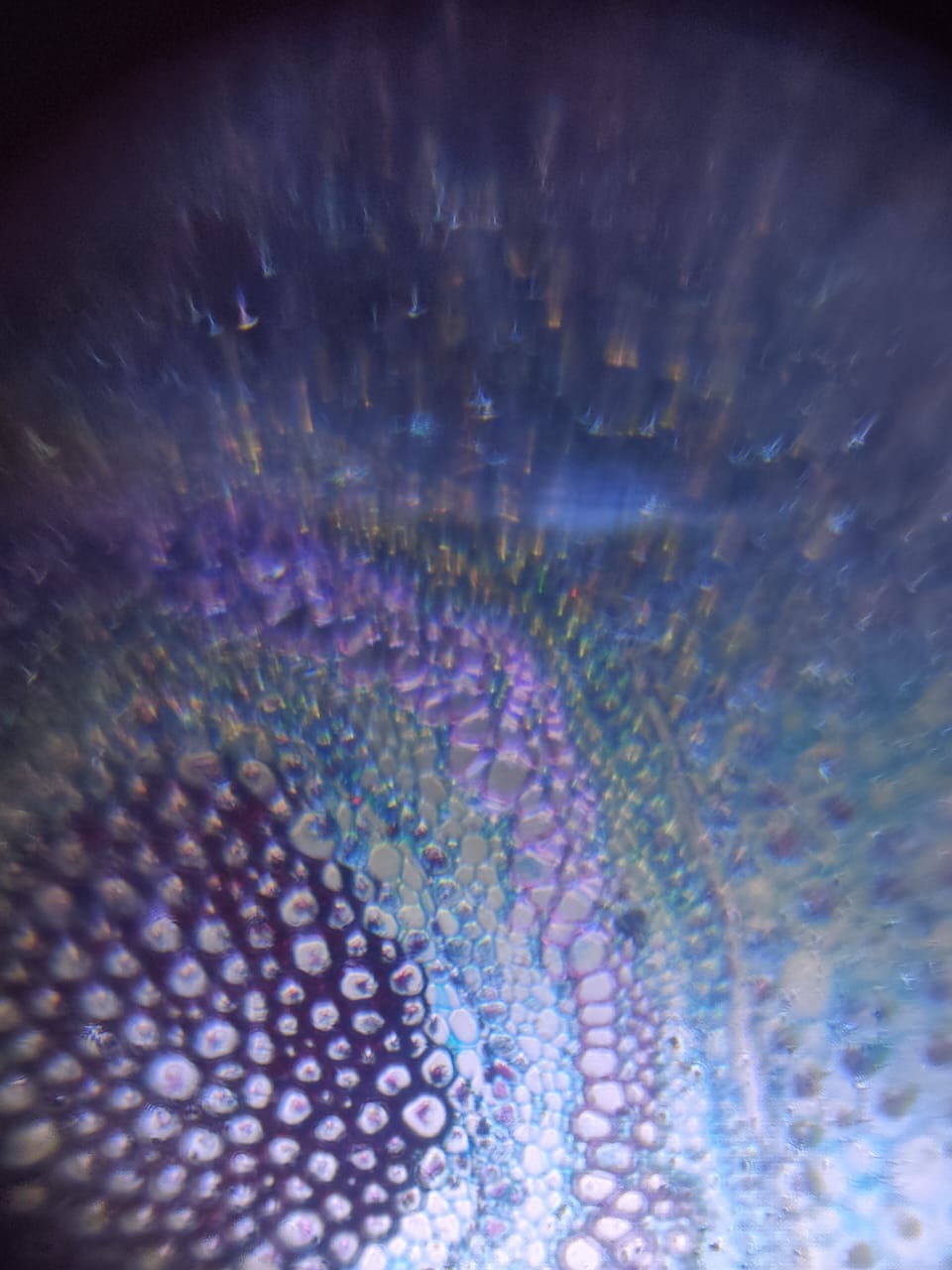 NaN%2F14785098-c289-4fb8-a67f-316a50a8a21f-1_all_2412.jpg?alt=media&token=afd9753e-47b4-4537-ad6c-57831382d5d8