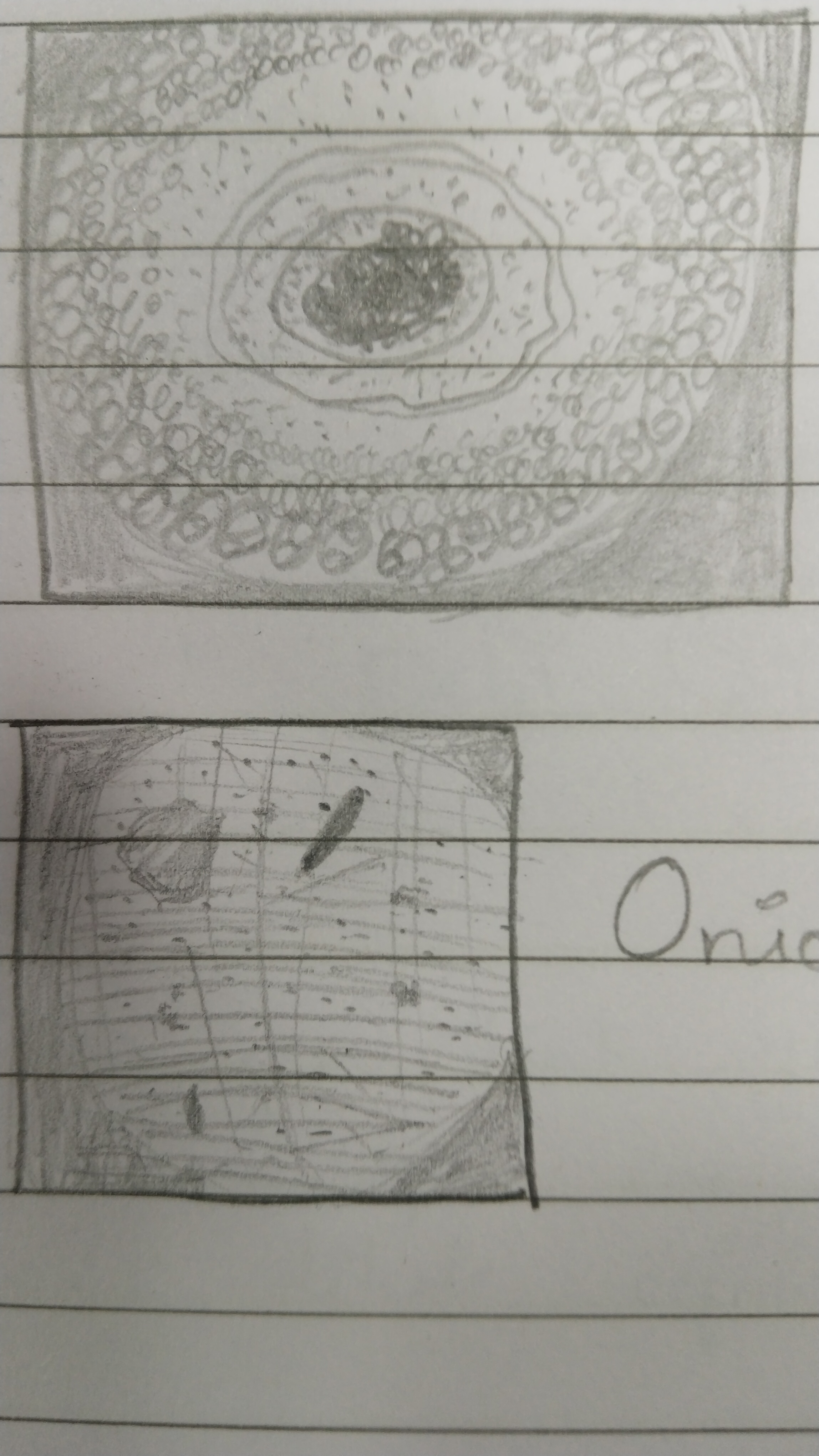 NaN%2F17168885334928477098130380840161.jpg?alt=media&token=af56e513-7bba-420e-96aa-5f7c82eb2159