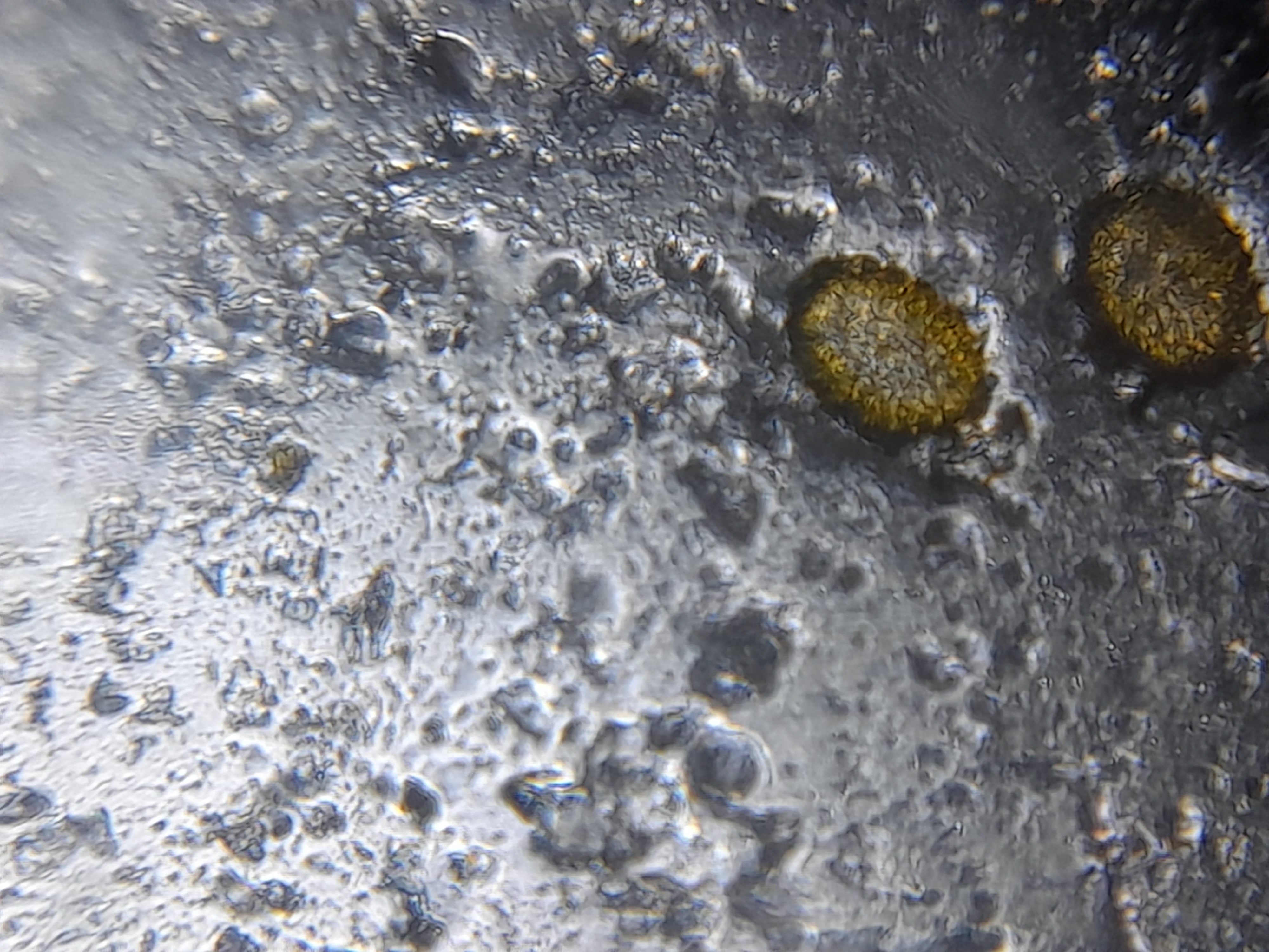 NaN%2F20221117_130122.jpg?alt=media&token=46397ca9-c780-47d8-8fc8-efe58037de6b