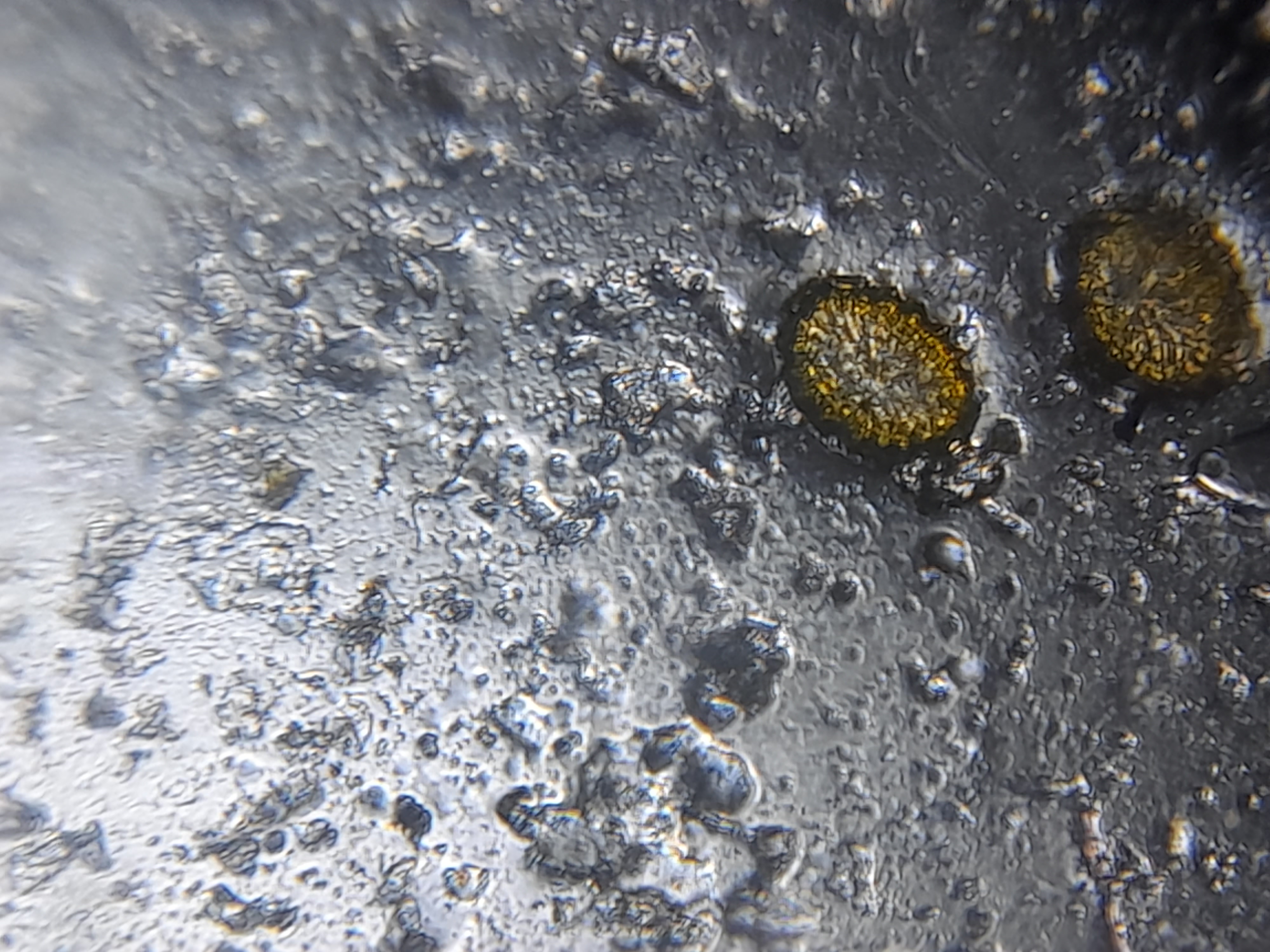 NaN%2F20221117_130123.jpg?alt=media&token=6c2797a7-e79e-47ed-8d93-3cd790dd3789