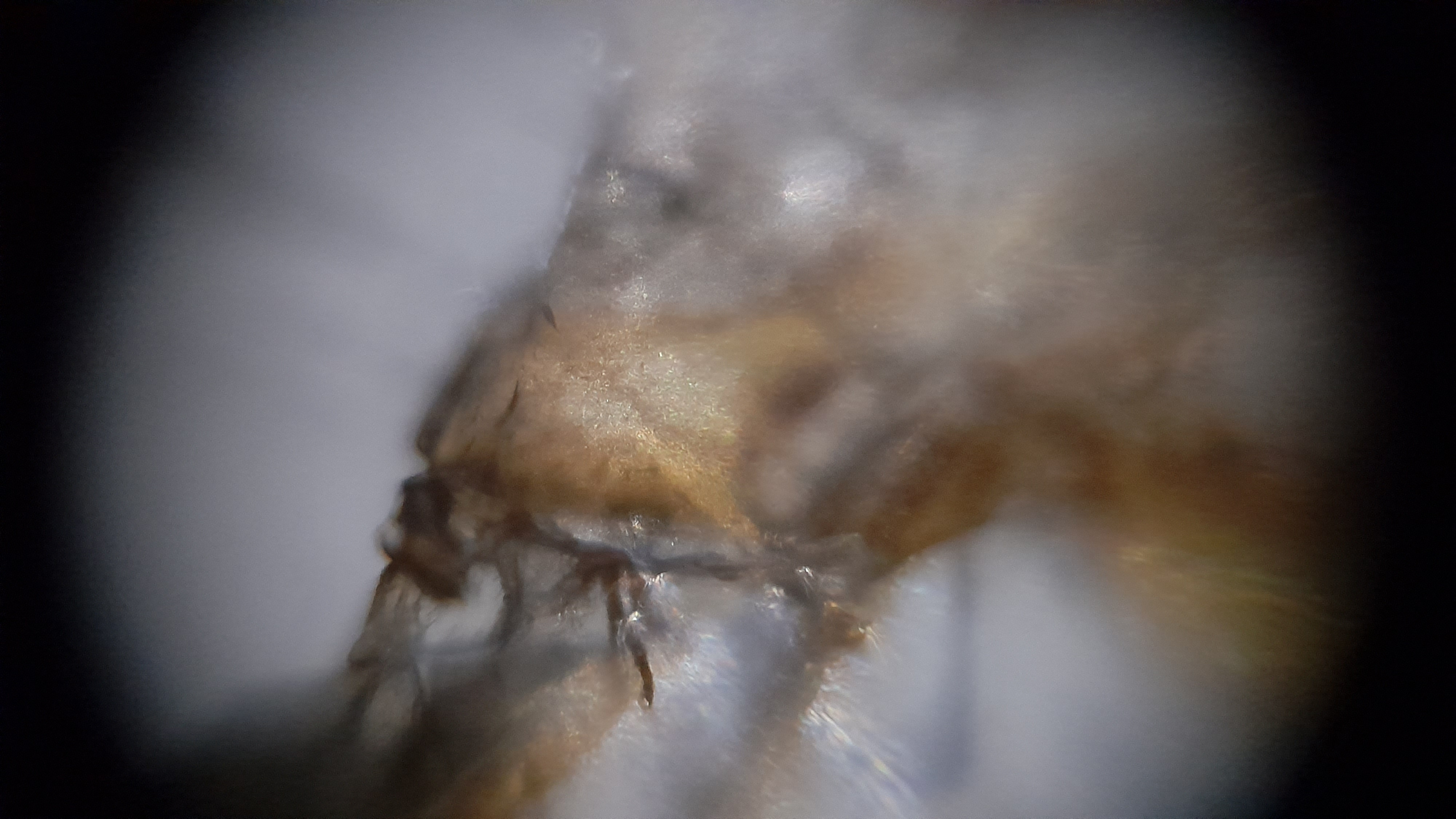 NaN%2F20230604_174814.jpg?alt=media&token=20694689-3c53-467a-b5eb-79100ac00c79